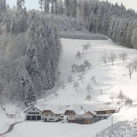 Apartmán Stinneshof Oberharmersbach