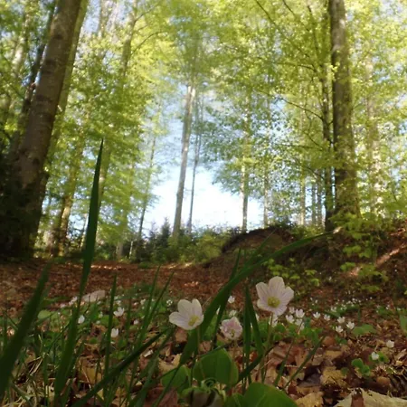 Stinneshof