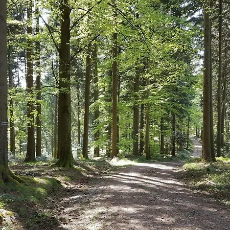 Apartmán Stinneshof