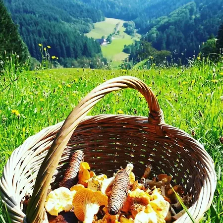 Stinneshof Apartmán Oberharmersbach