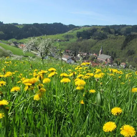 Stinneshof Apartmán Oberharmersbach
